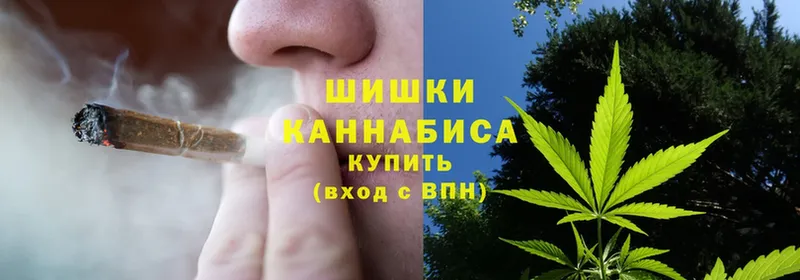 Конопля SATIVA & INDICA  Саки 